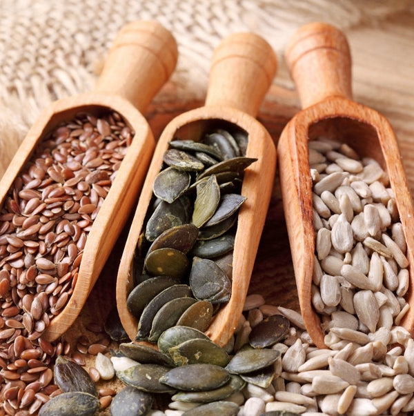 SEED TREASURY